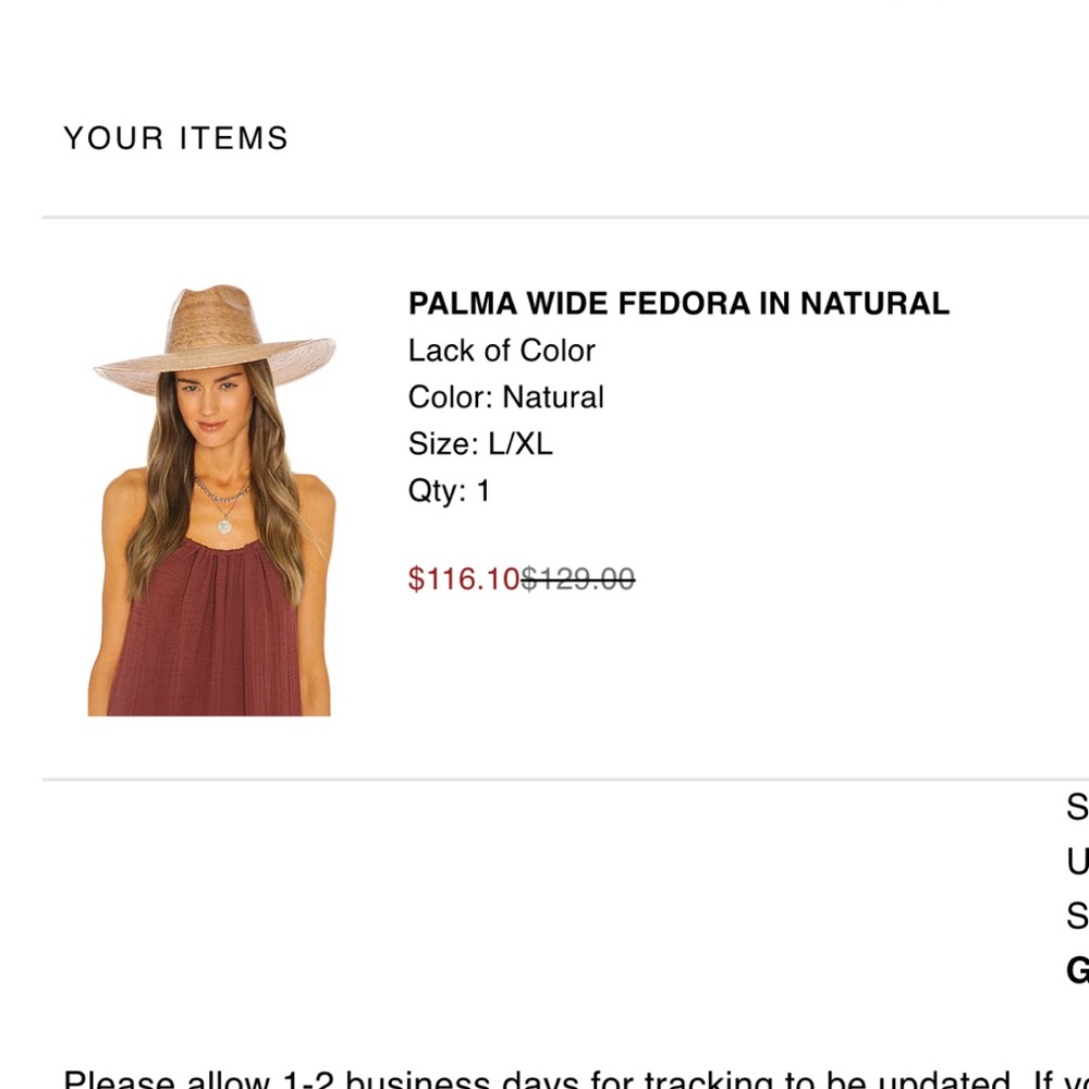 Lack of color Palma wide fedora hat